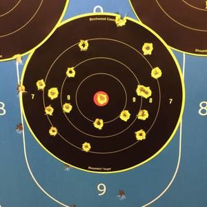 Meet your Posher, Rosalee